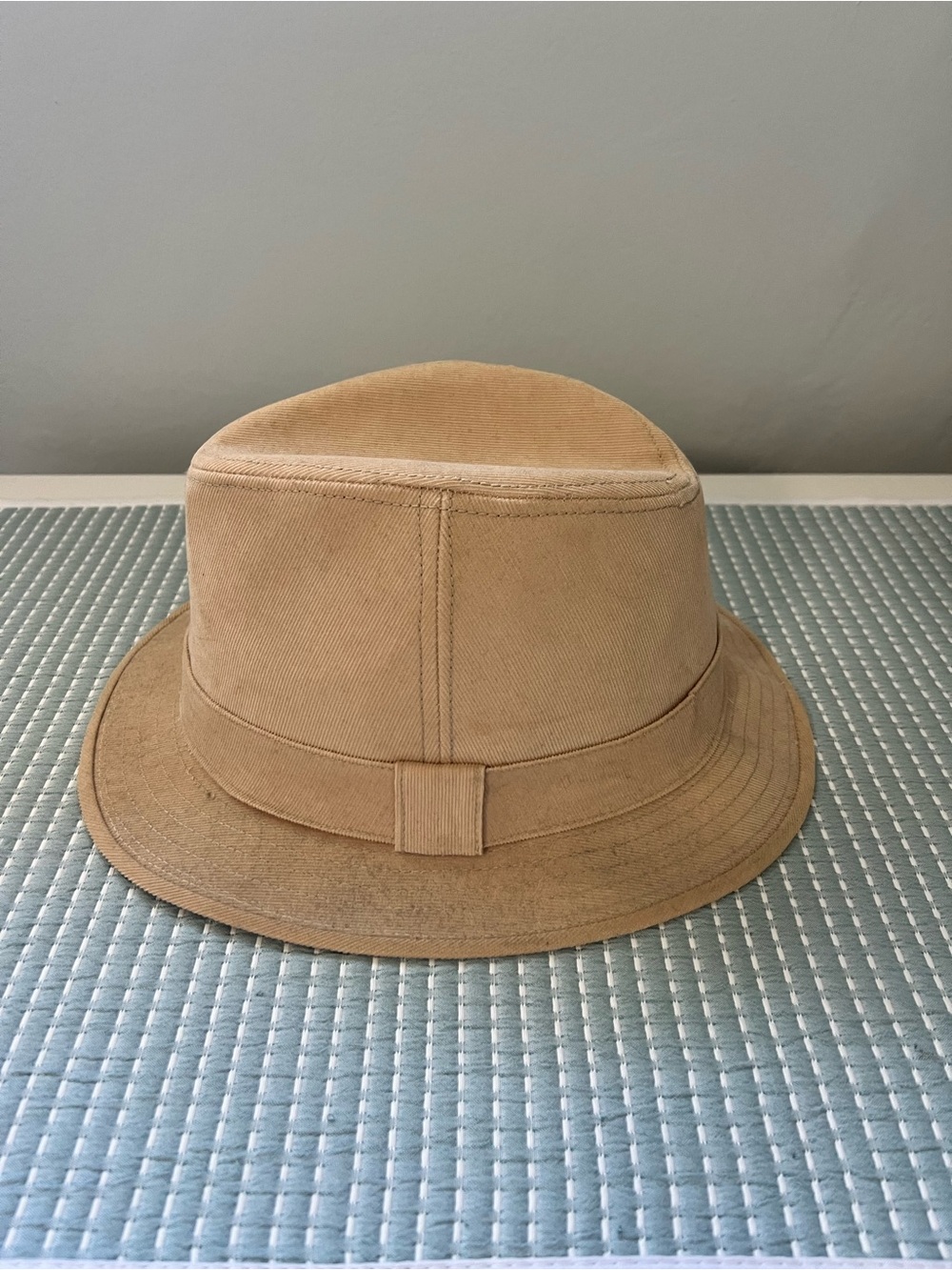 Goorin fedora hat